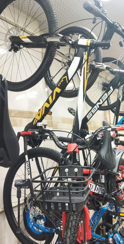 دوچرخه بدنه آهن برند ویوا